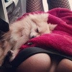 Libby Powell - νυστάζω!